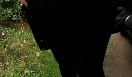 بانی افزایش کمیک sexy DP