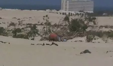 پرستش معشوقه بریتانیایی خود - C4R داستان سکسی کمیک