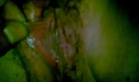 YPP زوج چربی کمیک سکی بالغ