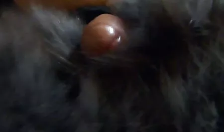 عروس Backdoor کمیک سکسی جدید 3 01theclassicporn.com